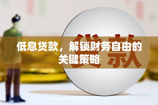 中卫低息贷款，解锁财务自由的关键策略