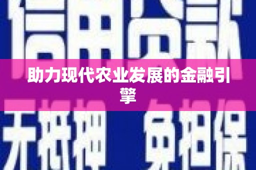中卫助力现代农业发展的金融引擎