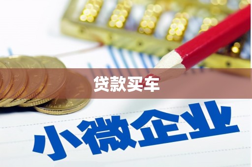 中卫贷款买车