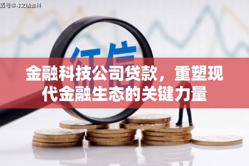 中卫金融科技公司贷款，重塑现代金融生态的关键力量