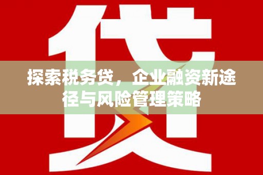 中卫探索税务贷，企业融资新途径与风险管理策略