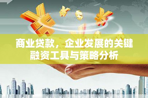 中卫商业贷款，企业发展的关键融资工具与策略分析