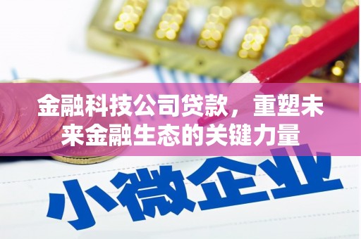 中卫金融科技公司贷款，重塑未来金融生态的关键力量