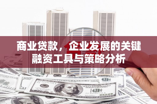 中卫商业贷款，企业发展的关键融资工具与策略分析