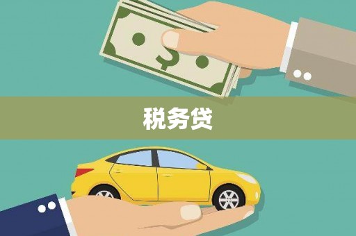 中卫税务贷
