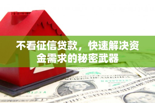 中卫不看征信贷款，快速解决资金需求的秘密武器