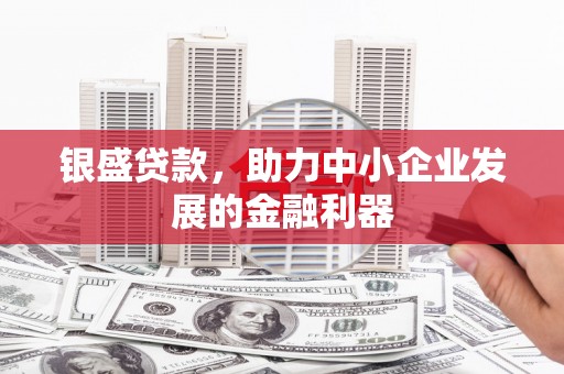 中卫银盛贷款，助力中小企业发展的金融利器