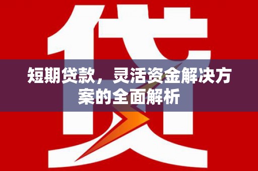 中卫短期贷款，灵活资金解决方案的全面解析