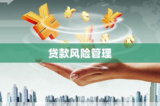中卫贷款风险管理