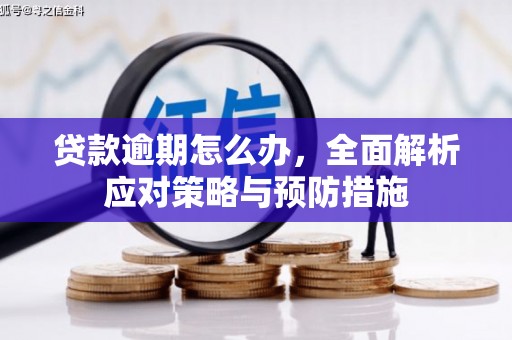 中卫贷款逾期怎么办，全面解析应对策略与预防措施