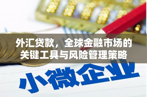 中卫外汇贷款，全球金融市场的关键工具与风险管理策略