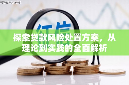 中卫探索贷款风险处置方案，从理论到实践的全面解析