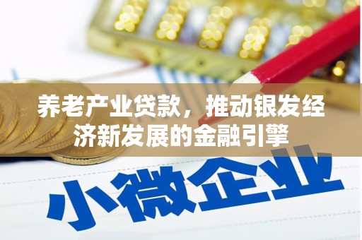 中卫养老产业贷款，推动银发经济新发展的金融引擎