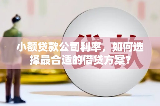中卫小额贷款公司利率，如何选择最合适的借贷方案？