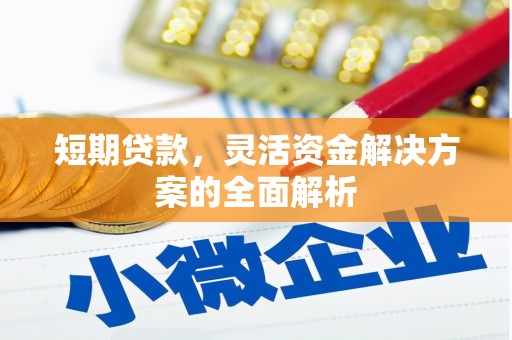 中卫短期贷款，灵活资金解决方案的全面解析