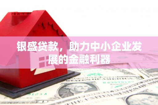中卫银盛贷款，助力中小企业发展的金融利器