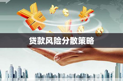 中卫贷款风险分散策略
