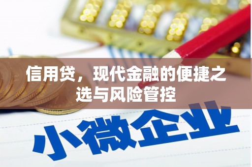 中卫信用贷，现代金融的便捷之选与风险管控