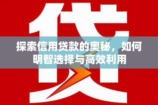 中卫探索信用贷款的奥秘，如何明智选择与高效利用