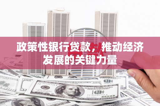 中卫政策性银行贷款，推动经济发展的关键力量