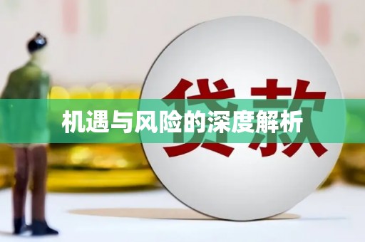 中卫机遇与风险的深度解析