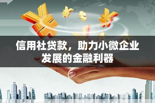 中卫信用社贷款，助力小微企业发展的金融利器