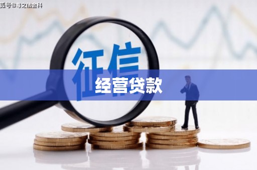 中卫经营贷款