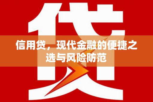 中卫信用贷，现代金融的便捷之选与风险防范