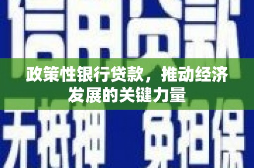 中卫政策性银行贷款，推动经济发展的关键力量