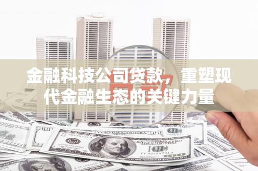 中卫金融科技公司贷款，重塑现代金融生态的关键力量