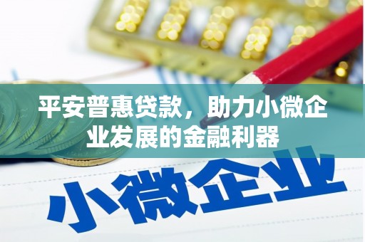 中卫平安普惠贷款，助力小微企业发展的金融利器