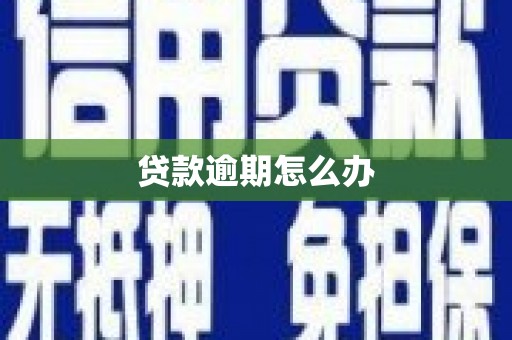 中卫贷款逾期怎么办