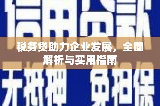 中卫税务贷助力企业发展，全面解析与实用指南