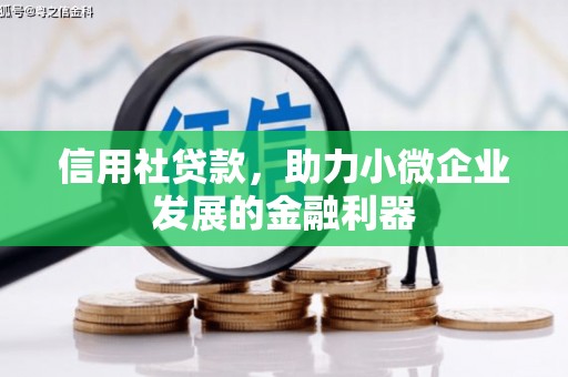 中卫信用社贷款，助力小微企业发展的金融利器