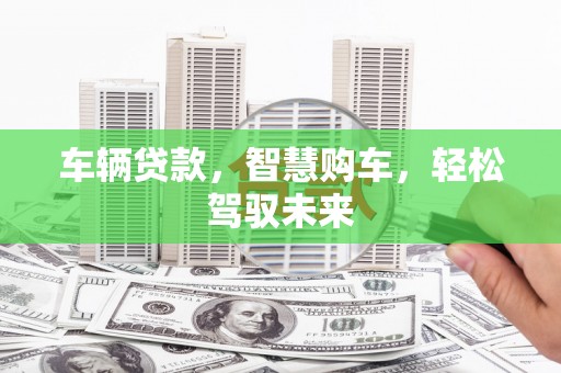 中卫车辆贷款，智慧购车，轻松驾驭未来