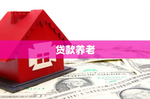 中卫贷款养老