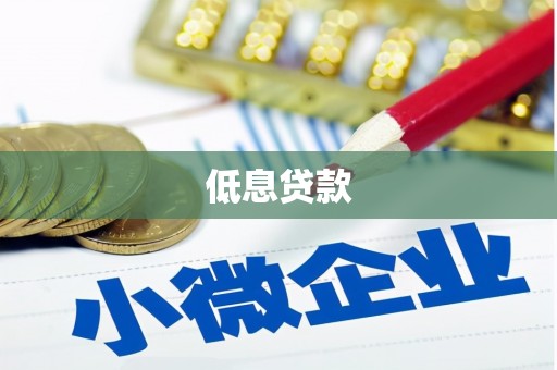 中卫低息贷款