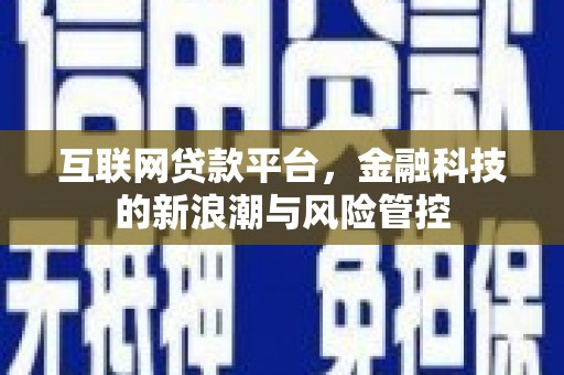 中卫互联网贷款平台，金融科技的新浪潮与风险管控