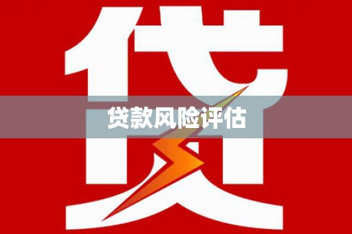 中卫贷款风险评估
