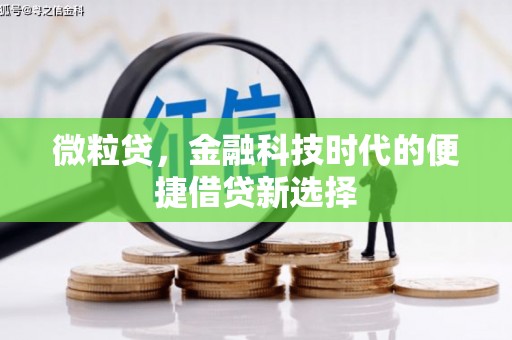 中卫微粒贷，金融科技时代的便捷借贷新选择