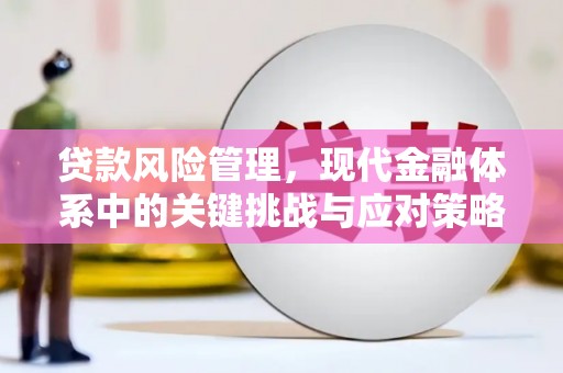 中卫贷款风险管理，现代金融体系中的关键挑战与应对策略