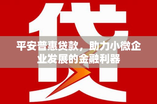 中卫平安普惠贷款，助力小微企业发展的金融利器