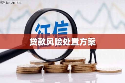 中卫贷款风险处置方案