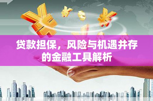 中卫贷款担保，风险与机遇并存的金融工具解析
