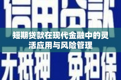 中卫短期贷款在现代金融中的灵活应用与风险管理