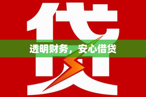中卫透明财务，安心借贷
