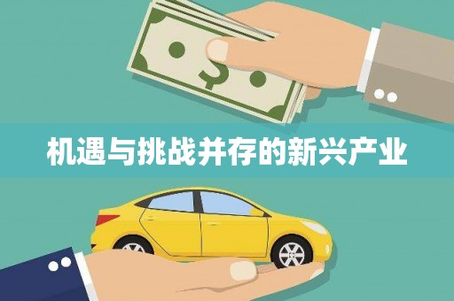 中卫机遇与挑战并存的新兴产业