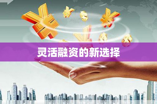 中卫灵活融资的新选择