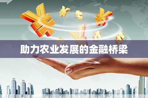 中卫助力农业发展的金融桥梁