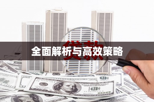 中卫全面解析与高效策略